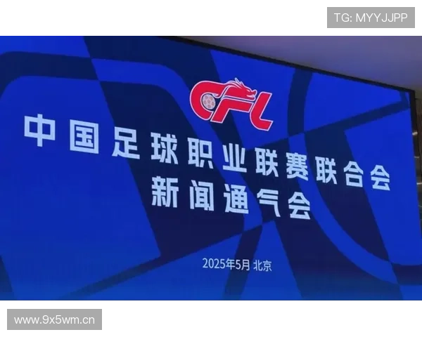 [国内球]中国球职业联赛联合会正式成立.